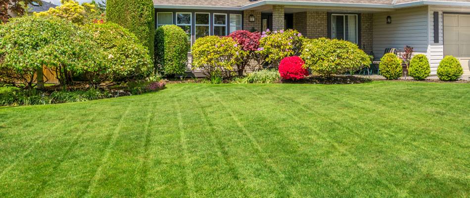 Landscape Design